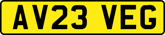 AV23VEG