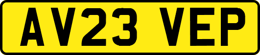 AV23VEP