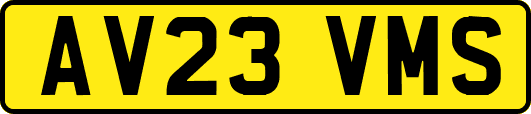 AV23VMS
