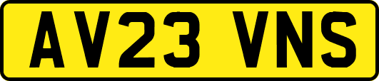 AV23VNS