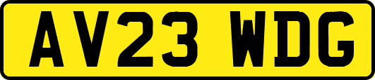 AV23WDG