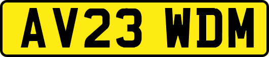 AV23WDM
