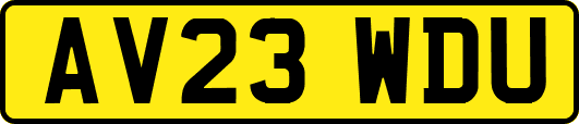 AV23WDU