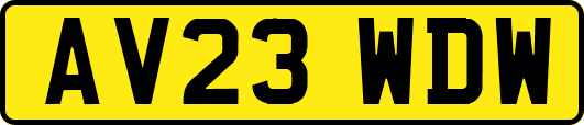 AV23WDW