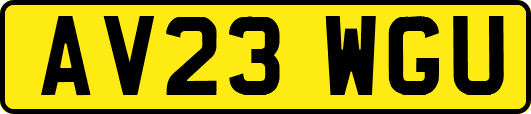 AV23WGU