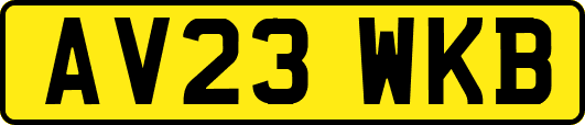 AV23WKB