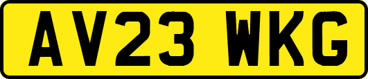 AV23WKG