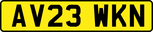 AV23WKN