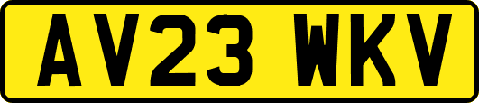 AV23WKV