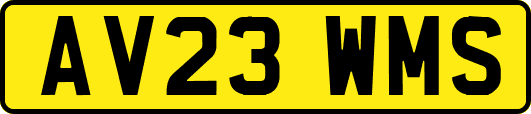 AV23WMS