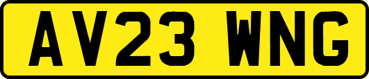 AV23WNG