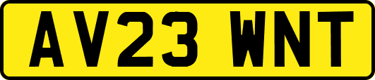 AV23WNT