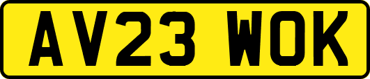 AV23WOK