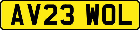 AV23WOL