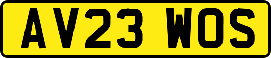 AV23WOS