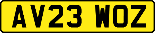 AV23WOZ