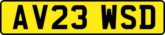 AV23WSD