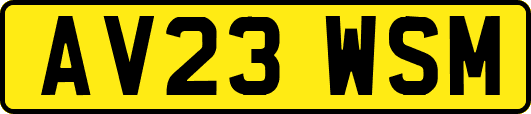 AV23WSM