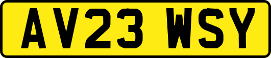 AV23WSY