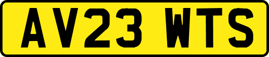 AV23WTS
