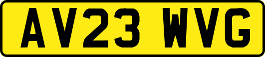 AV23WVG