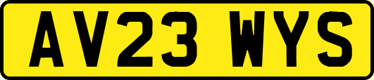 AV23WYS