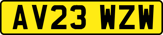 AV23WZW