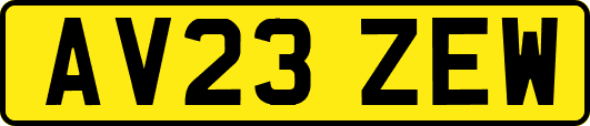 AV23ZEW