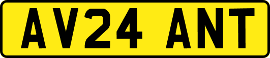 AV24ANT