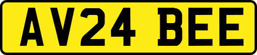 AV24BEE