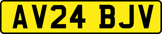 AV24BJV