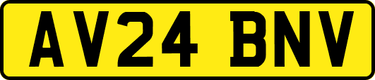 AV24BNV