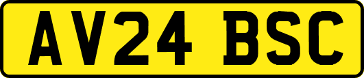 AV24BSC
