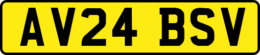 AV24BSV