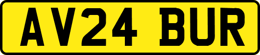 AV24BUR