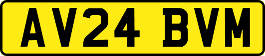 AV24BVM
