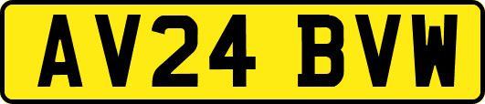 AV24BVW