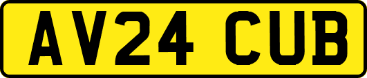 AV24CUB