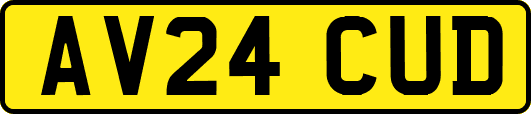 AV24CUD