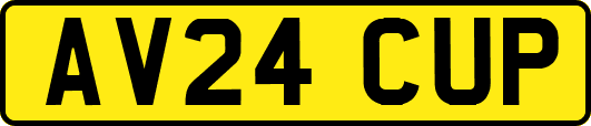 AV24CUP