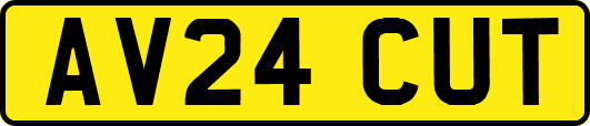 AV24CUT