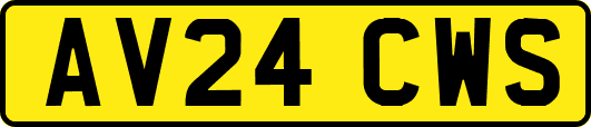 AV24CWS