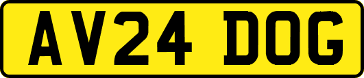 AV24DOG