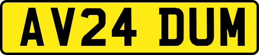 AV24DUM