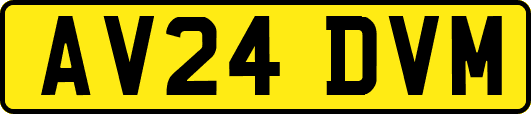 AV24DVM