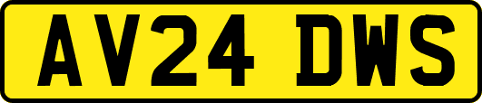 AV24DWS