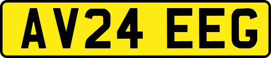 AV24EEG