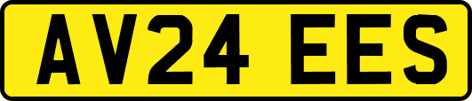 AV24EES