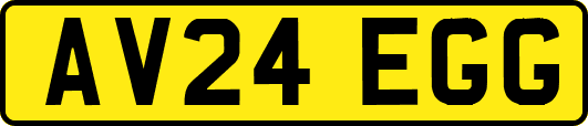 AV24EGG