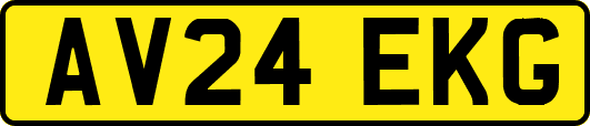 AV24EKG
